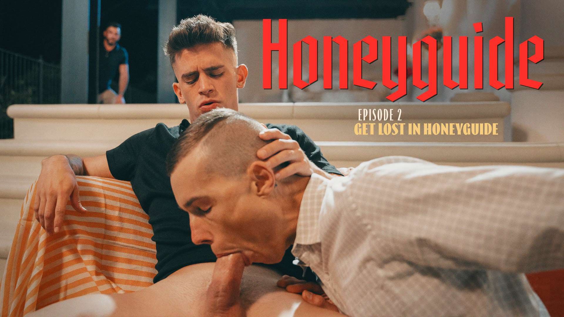 Honeyguide: Get Lost In Honeyguide, Scene #02
