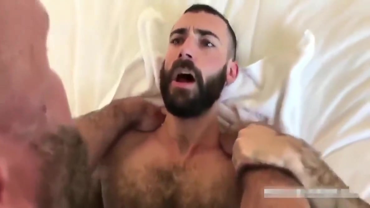Superlatively Admirable Bear Fucker With Superlatively Admirable Furry Wazoo