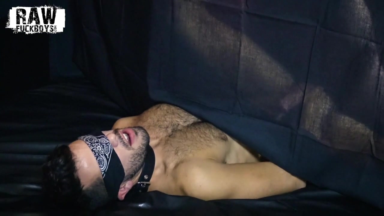 Logan & Riley - Chapter 2 - Bareback Plus
