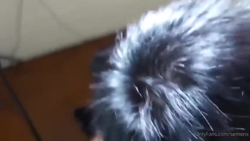 Semenx (8)