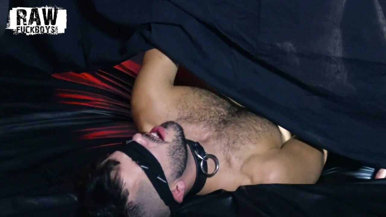 Sean & Riley - Chapter 2 - Bareback Plus