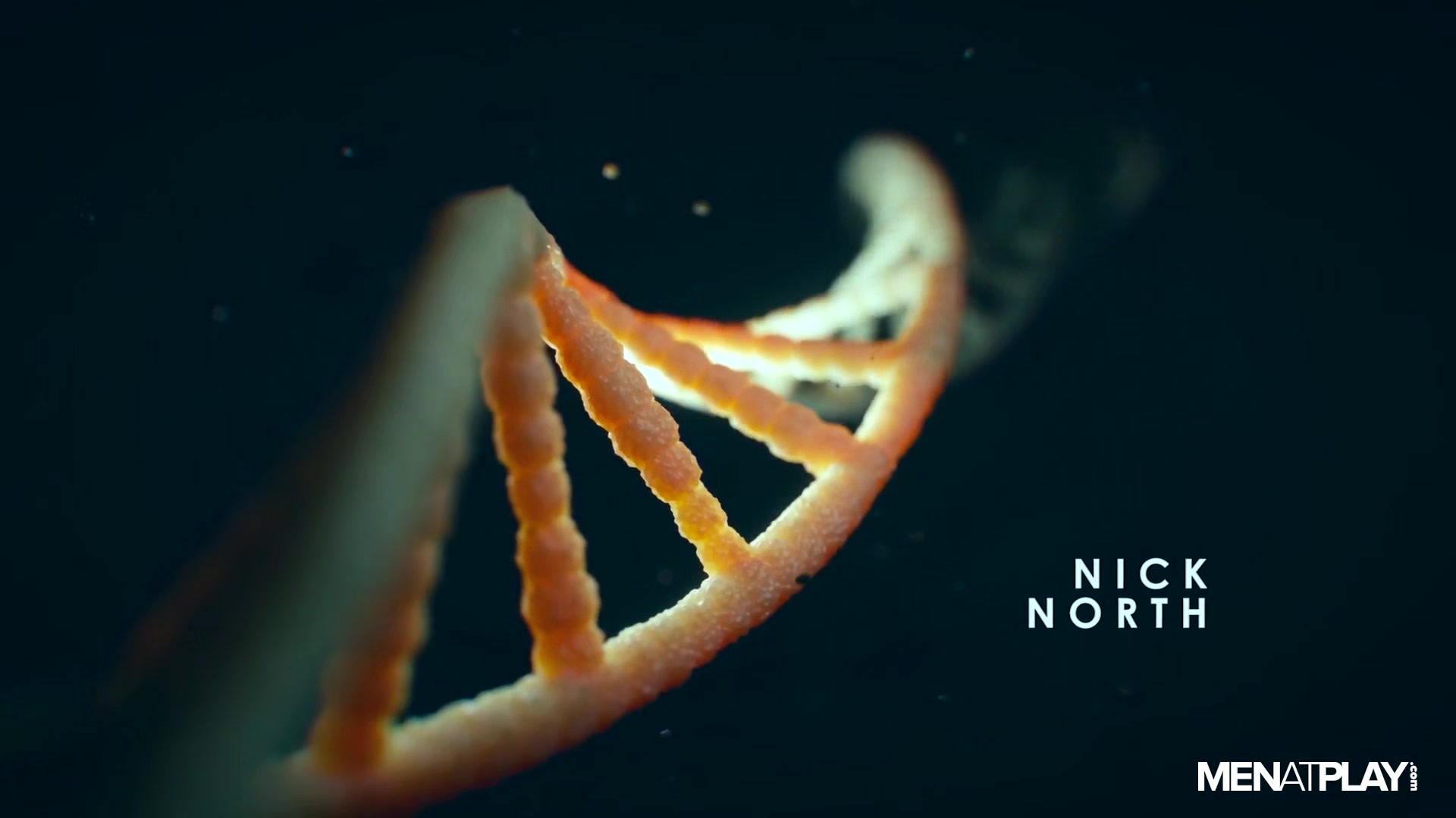 Check-In With Dr. North - MENatPLAY