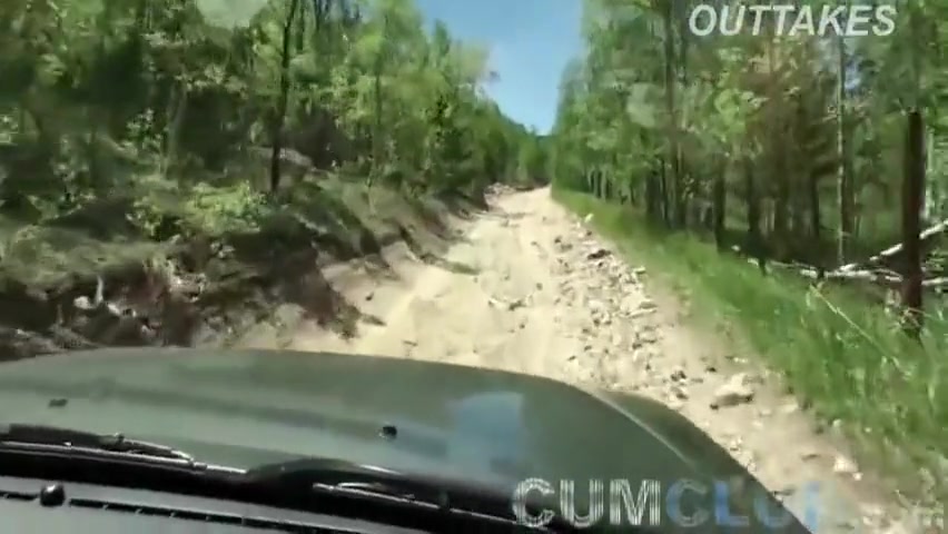 Forest Fuck