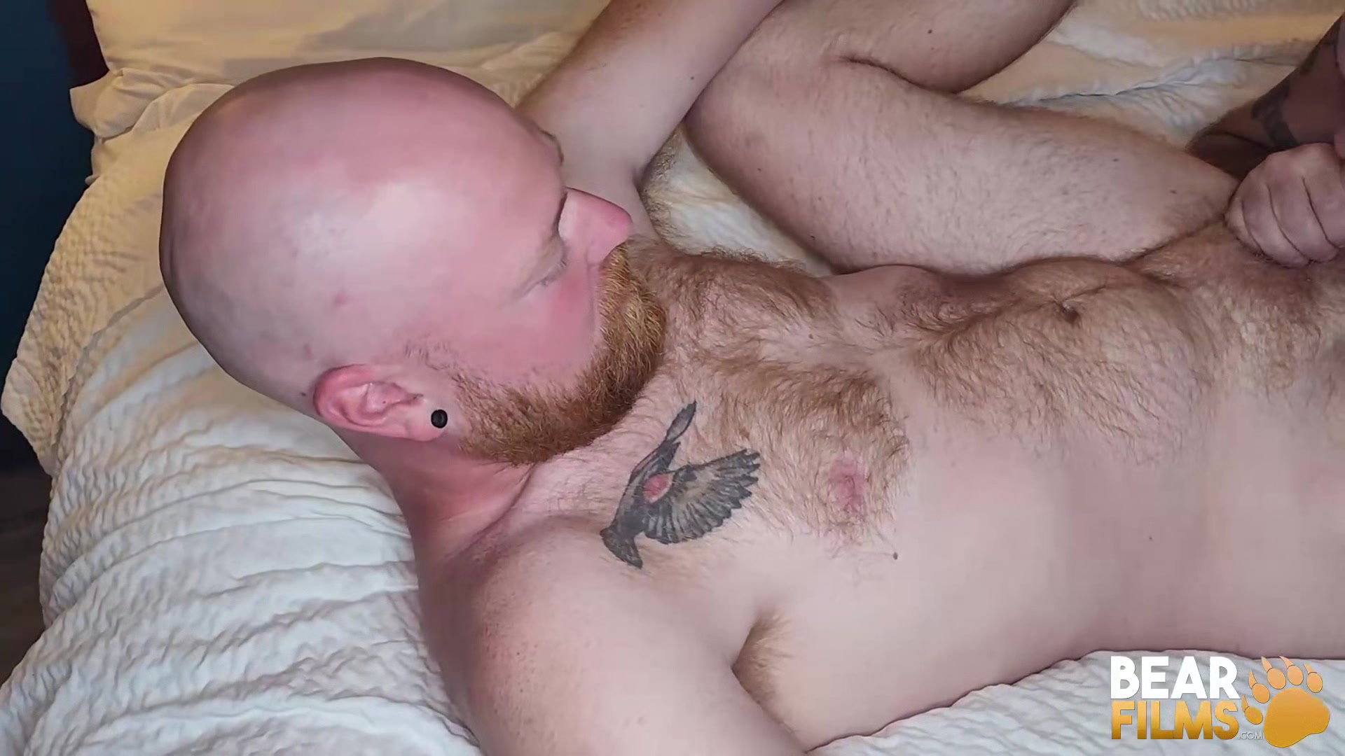 BEARFILMS Redhead Logan Stanley Barebacked By Ryan Roman