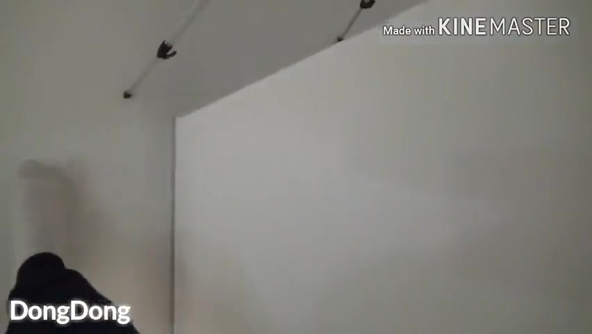 Trainee Gang-hookup In The Office