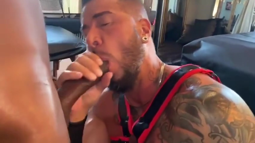 Stepdad Taking 11inches
