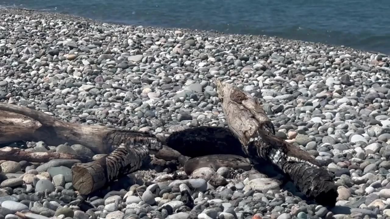Great Fucking After Swimming. Kit Belove Quickly Cums In Falcon Al Ass Right On The Beach
