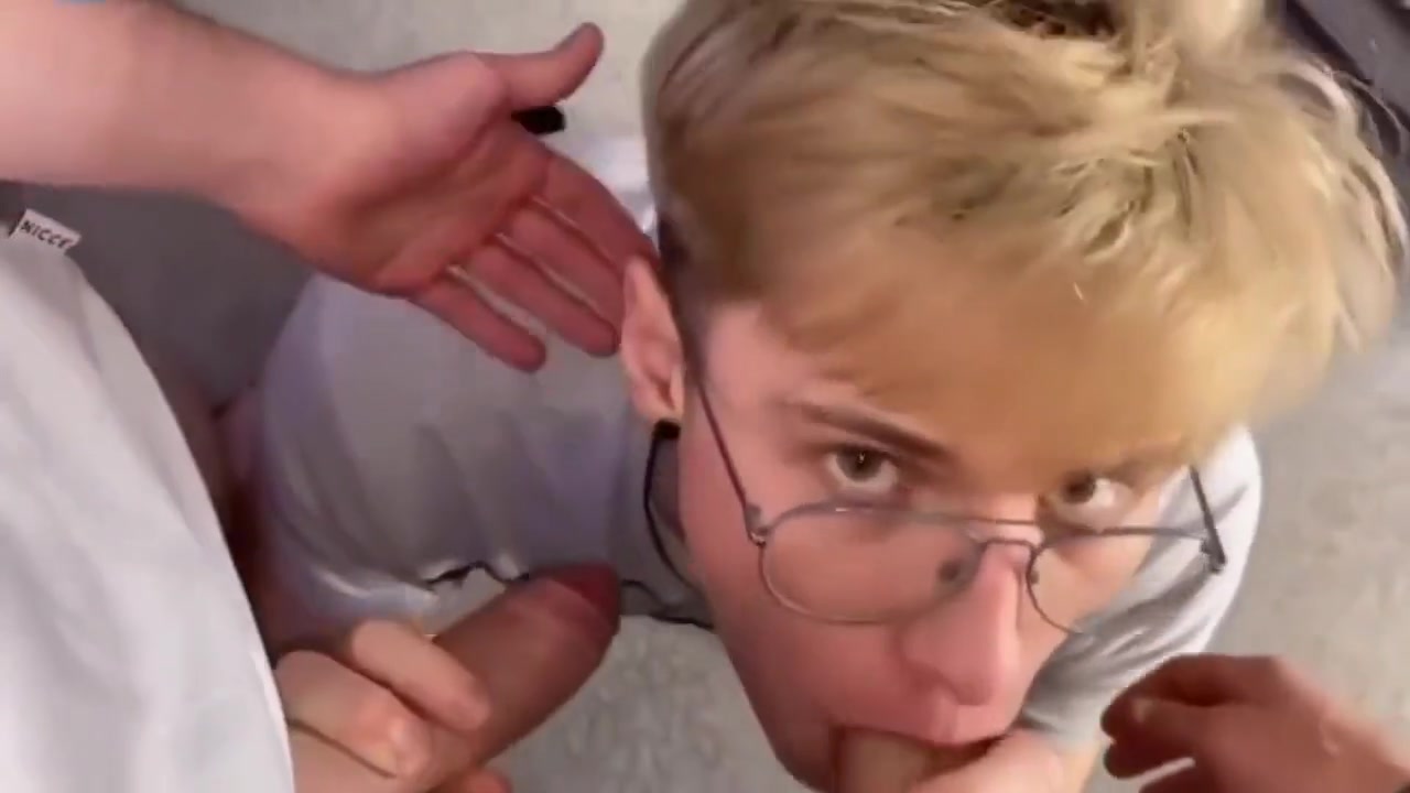 Harris Twinks Harem