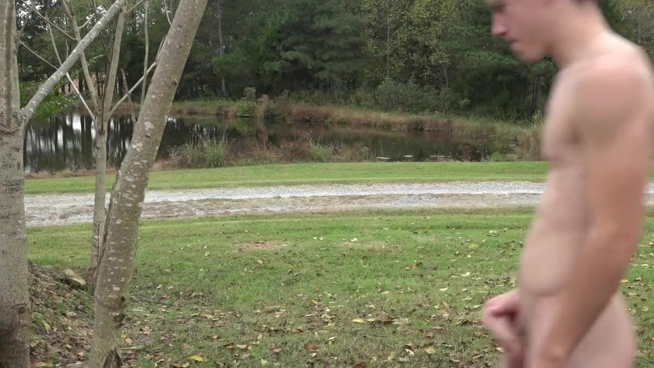 A Day In The Country
