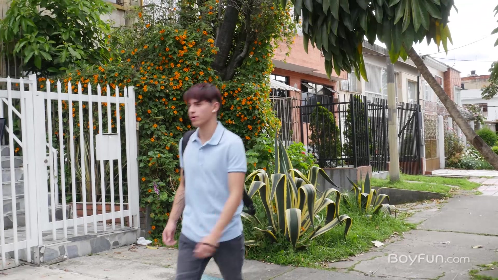 Justin Host + Liam Zuares - BoyFun