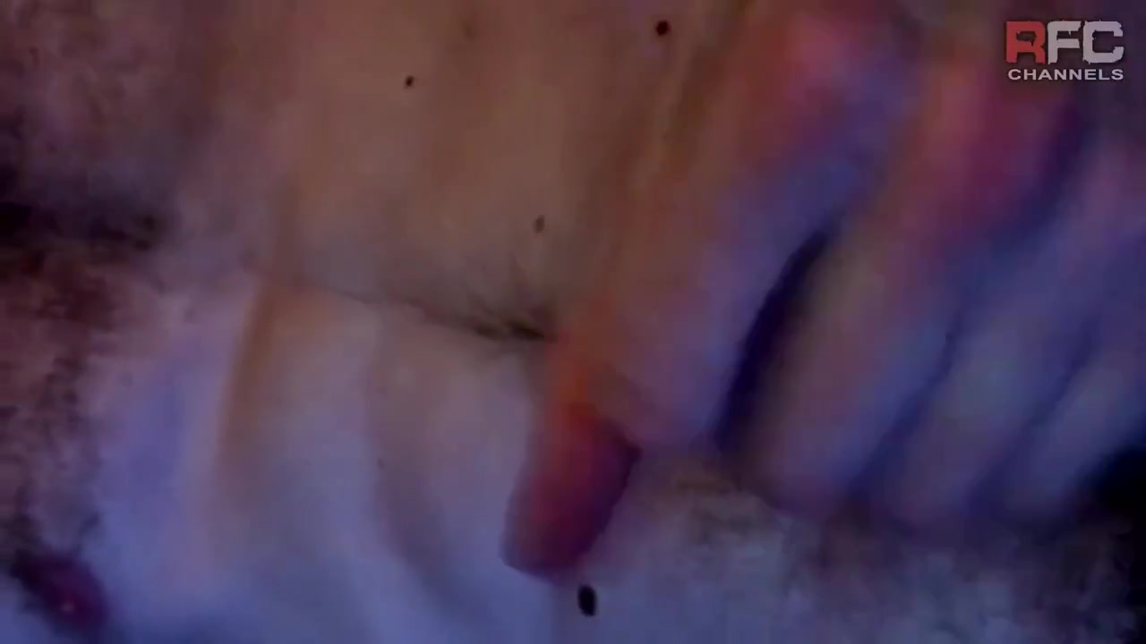 Thiago Monte Andre Madd Dimitri Venum Nils Angelson Gangbang Vlad Winter