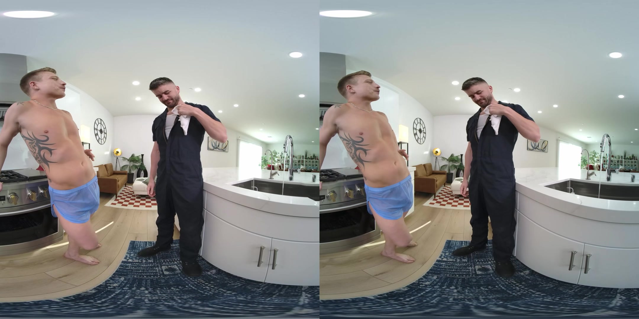 The Plumber