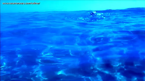 Submerged