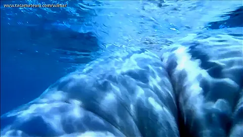 Submerged