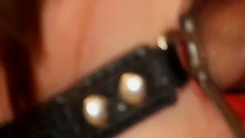 Open Mouth Spider Gag Blowjobj With Leash