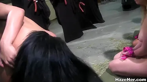 Hazing in the woods