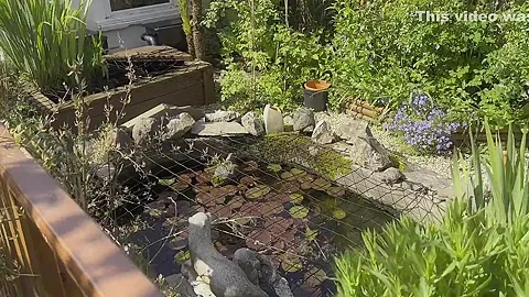 My Naked Gardening Tour With Wamgirlx