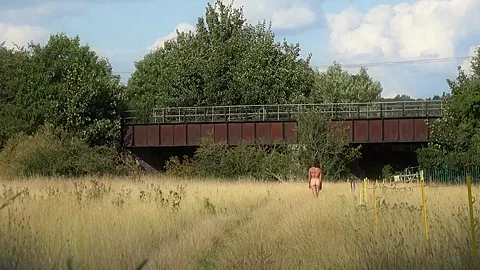 In An English Meadow And Flashing On The Train