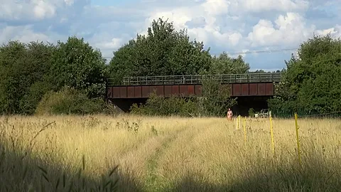 In An English Meadow And Flashing On The Train