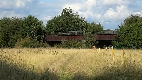 In An English Meadow And Flashing On The Train