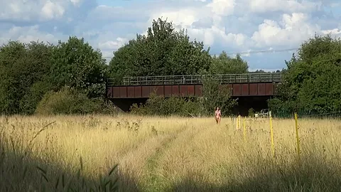 In An English Meadow And Flashing On The Train