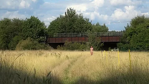 In An English Meadow And Flashing On The Train