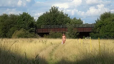 In An English Meadow And Flashing On The Train