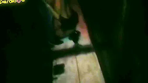 Sensacao Erotica Em Casa De Swing 4 Min