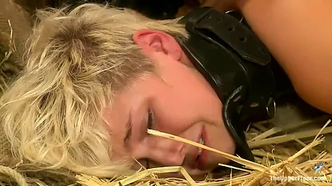 The Marketplace Book Signing