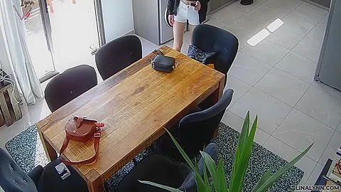 Lina Lynn - Ooops Forgets Surveillance Camera!!!!