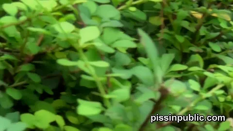 Desperate Girls Are Pissing In Front Of Their Neighbours House