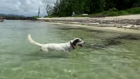 Mauritius Beach Discovery 2 - TacAmateurs