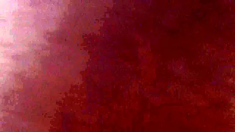 Cum On Sunglasses - TacAmateurs