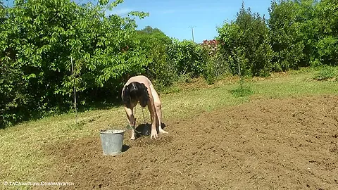 Outdoor Work & Punishment Pt2 - TacAmateurs