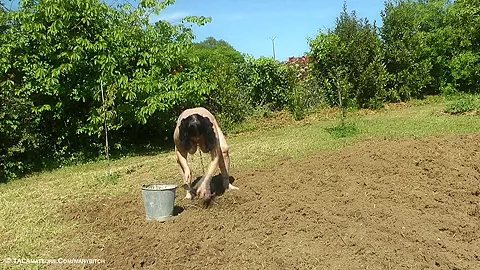 Outdoor Work & Punishment Pt2 - TacAmateurs