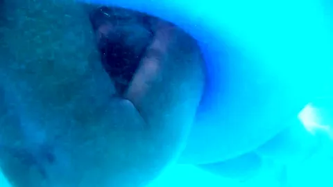 Hot Girls In The Pool - TacAmateurs