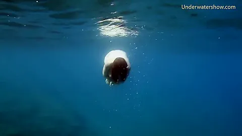 Tenerife Underwater Swimming Hot Ginger
