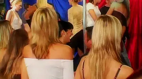 Sexy party chicks suck dicks in club orgy