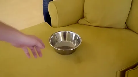 My stepsister as a pet for a whole day