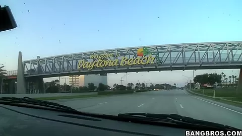 Cocky Danica took in a marvellous trip