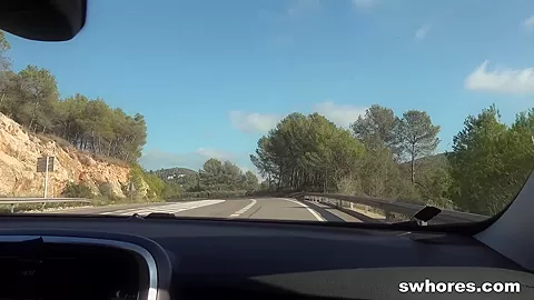 How Much for a Quickie? RAW Fucking on the Side of the Road! by Swhores