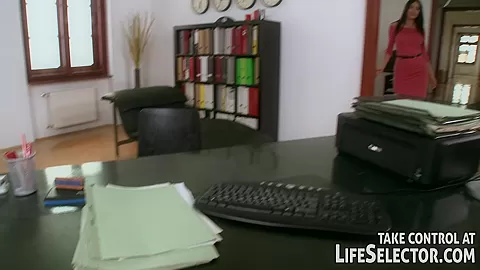 The Immigration Officer - LifeSelector