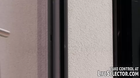 The Swap - LifeSelector