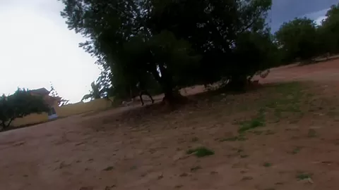 Ebony Beauty Is Bouncing On The Big Dong Outdoors - HotEuroGirls