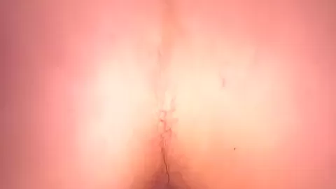 Latina Neighbor Sneaks Over For Anal