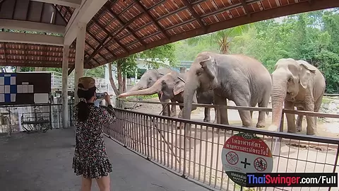 Amateur Thai girlfriend went to see *** and has sex afterwards with BF