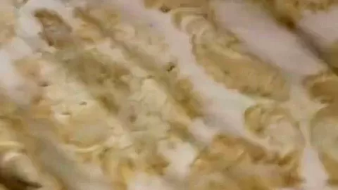 Doggy Style Action From The Queen Of Porn Hub! Caming Too! High As Fuc!
