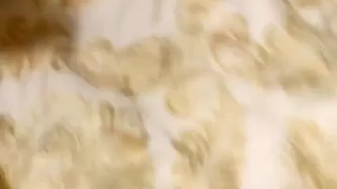 Doggy Style Action From The Queen Of Porn Hub! Caming Too! High As Fuc!