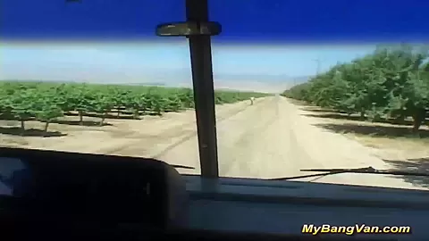 teens 18+ picked up for bangvan party