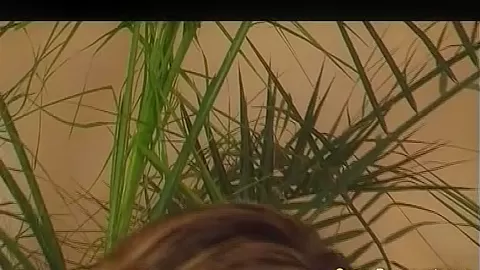 skinny preggo teen 18+ deep fucked